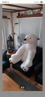 Super grote ijsbeer (nieuw), Ophalen, Nieuw
