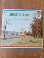 Limburgse carnavalsmuziek /tonproaters, Cd's en Dvd's, Ophalen, Gebruikt, 12 inch