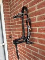 Schockemohle Equitus Beta, Ophalen of Verzenden, Zo goed als nieuw, Dressuur