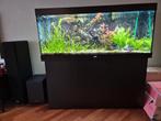 Juwel Rio 450 compleet, Ophalen, Gebruikt, Gevuld zoetwateraquarium