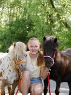 Bijrijder aangeboden!, Dieren en Toebehoren, Verzenden, Nieuw