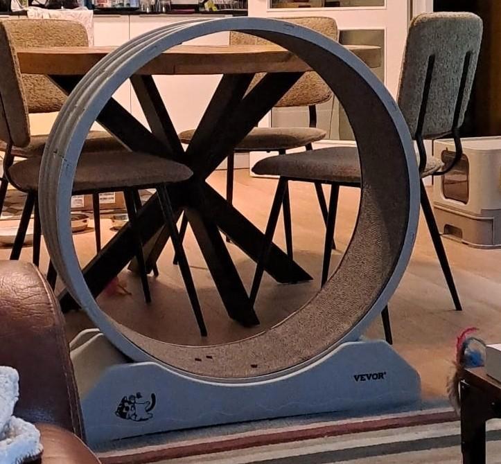 Kattenrenwiel, Dieren en Toebehoren, Kattenspeelgoed, Zo goed als nieuw, Overig speelgoed, Ophalen