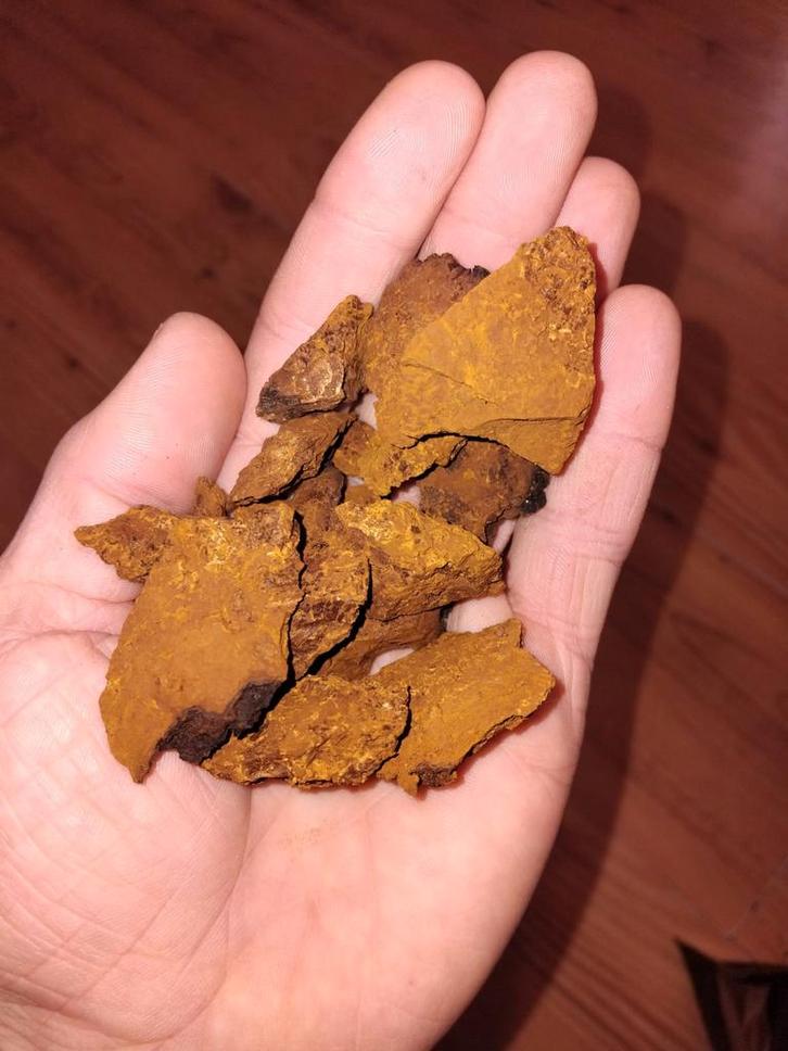 BIO Wilde Berken Chaga - Vers en Gemalen, Diversen, Levensmiddelen, Ophalen of Verzenden