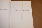 Een Eeuw Beeldhouwkunst — Catalogus Stedelijk Museum [1992], Ophalen of Verzenden, Gelezen, Schilder- en Tekenkunst