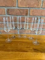 Schott Zwiesel Champagneglazen - set van 6, Ophalen, Zo goed als nieuw, Overige typen