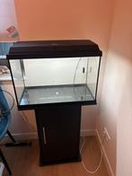Juwel 70 liter aquarium + aquariumkast, Dieren en Toebehoren, Ophalen, Zo goed als nieuw, Leeg aquarium