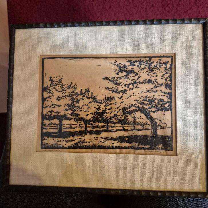 Kunst, Antiek en Kunst, Kunst | Litho's en Zeefdrukken, Ophalen of Verzenden