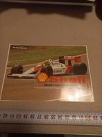 Ayrton senna, Minder dan 50 cm, Ophalen of Verzenden, Zo goed als nieuw, Minder dan 100 cm