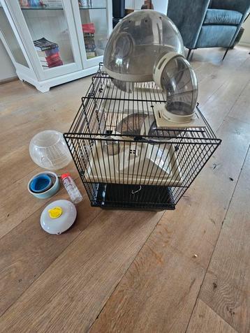 Hamsterkooi beschikbaar voor biedingen