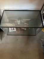 Hamster of Cavia kooi van glas LxBxH 40x80x50, Dieren en Toebehoren, Knaagdieren en Konijnen | Hokken en Kooien, Kooi, Zo goed als nieuw