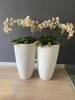 2 grote elho bloempotten 90 cm hoog met zijde nep-orchideeën, Tuin en Terras, Bloembakken en Plantenbakken, Ophalen, Minder dan 60 cm
