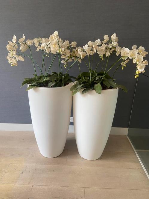 2 grote elho bloempotten 90 cm hoog met zijde nep-orchideeën, Tuin en Terras, Bloembakken en Plantenbakken, Zo goed als nieuw