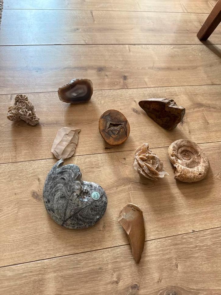 Unieke verzameling fossielen, mineralen en kristallen, Verzamelen, Mineralen en Fossielen, Mineraal, Ophalen of Verzenden