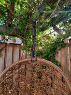 Deze unieke hang ei, Ophalen of Verzenden, Zo goed als nieuw, Rotan