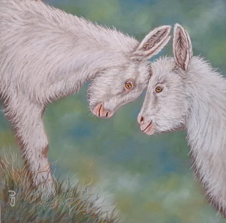 OPRUIMING schilderij geitjes - eigen werk - geitenschilderij, Antiek en Kunst, Kunst | Schilderijen | Klassiek, Ophalen of Verzenden