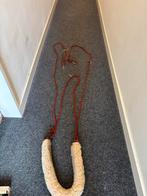 Pessoa longeerhulp, Dieren en Toebehoren, Ophalen, Gebruikt, Overige soorten