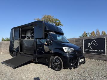 Renault Master Paardenwagen KRISMAR 3XL | 5.408KM | HENGST | beschikbaar voor biedingen
