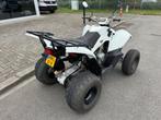 Goes ACCESS MOTOR SP300-S Automaat Gordel 19 PK, Scooter, Bedrijf, 280 cc, Goes