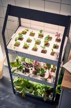 Ikea Krydda Kweekbak - Perfect voor Kruiden!, Tuin en Terras, Kweekspullen, Ophalen, Gebruikt, Kweekbak