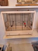 Vogelkooi ferfast 57x30x50, Ophalen, Zo goed als nieuw, Metaal, Vogelkooi
