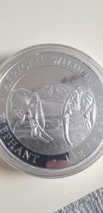 Zilveren Kilo Munt - Somalische Olifant, Ophalen, Overige landen, Losse munt, Zilver