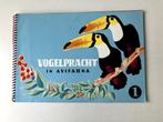 Vogelpracht in Avifauna deel 1, Ophalen of Verzenden, Nieuw, Vogels