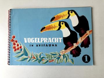 Vogelpracht in Avifauna deel 1 beschikbaar voor biedingen