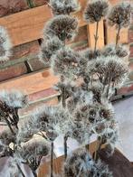 Kunstbloem Distel Bruin/Grijs 81cm, Helene Livingstyle, Helenelivingstyle@gmail.com, 7531TJ, Nieuw