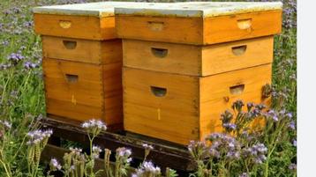 Gezocht standplaats bijenkasten
