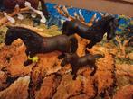 Schleich fries paarden familie, Verzamelen, Ophalen of Verzenden, Zo goed als nieuw, Paard, Beeldje of Figuurtje