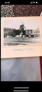 Prent Zaandam Oliemolen 'de Oranjeboom' 1938, Verzamelen, Foto's en Prenten, Gebruikt, Ophalen of Verzenden, Gebouw, Voor 1940