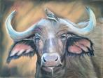 Schilderij buffel, Ophalen of Verzenden