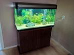 Jabo aquarium, compleet met vissen en toebehoren ., Dieren en Toebehoren, Ophalen, Zo goed als nieuw, Gevuld zoetwateraquarium