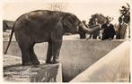 Rhenen - Ouwehands Dierenpark Grebbeberg - Olifant - 1938, Ophalen of Verzenden, 1920 tot 1940, Gelopen, Utrecht