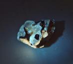 Calciet, Aragoniet - Duitsland (UV LW), Ophalen of Verzenden, Mineraal