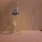 Bierglas "Maes" pils, Verzamelen, Ophalen of Verzenden, Zo goed als nieuw, Glas of Glazen, Overige merken