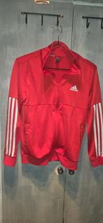 Adidas vest maat 152 - Mooi rood! €10, Ophalen, Zo goed als nieuw, Jongen of Meisje, Trui of Vest