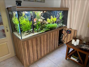 ZGAN Aqualantis Fusion met vele extra’s (zie foto’s) beschikbaar voor biedingen