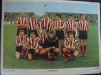Esso voetbal plaat - Rigtersbleek (Enschede) 1958/1959, Verzamelen, Sportartikelen en Voetbal, Ophalen of Verzenden, Gebruikt