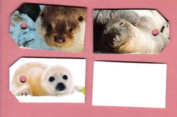 0220) zeehonden, otters, bevers labeltjes beschikbaar voor biedingen