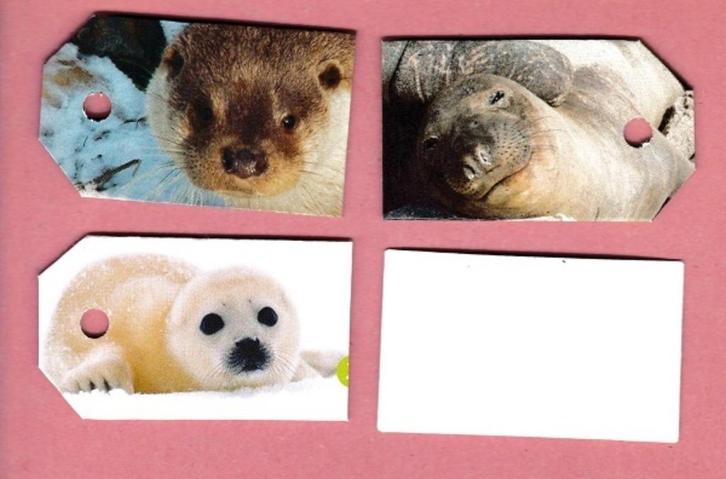 0220) zeehonden, otters, bevers labeltjes, Verzamelen, Dierenverzamelingen, Zo goed als nieuw, Opgezet dier, Ophalen of Verzenden