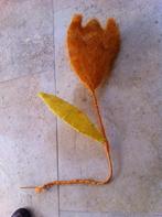 Oranje Tulp van Kokosvezel/Cocosvezel Nieuw, Ophalen of Verzenden, Nieuw