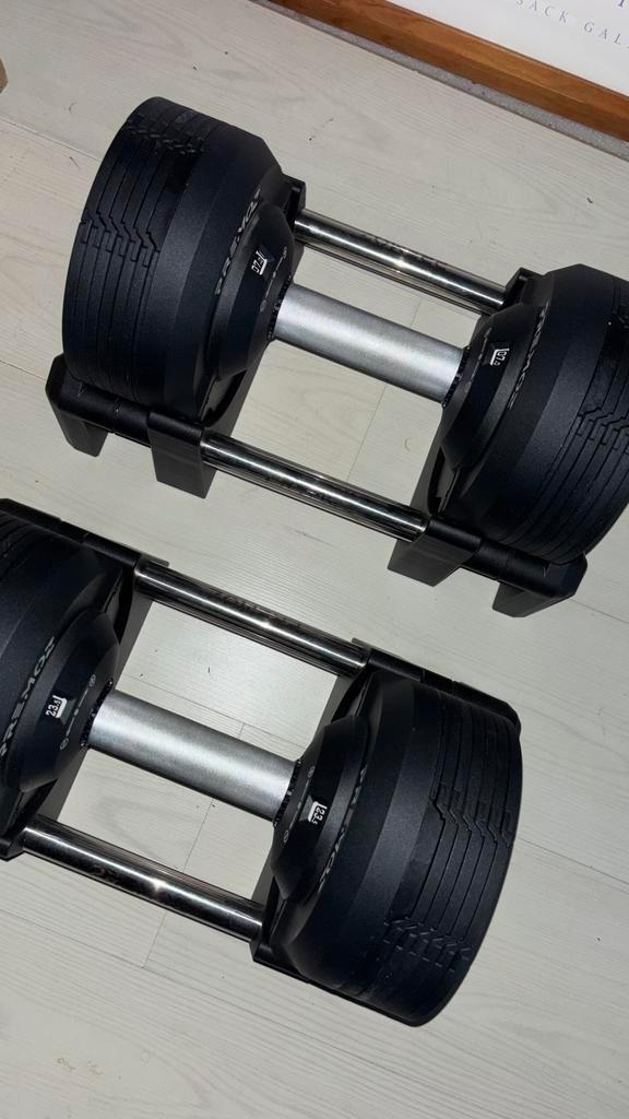 Verstelbare Dumbbells Lioninside 04-23.5KG, Sport en Fitness, Fitnessmaterialen, Zo goed als nieuw, Dumbbell, Ophalen