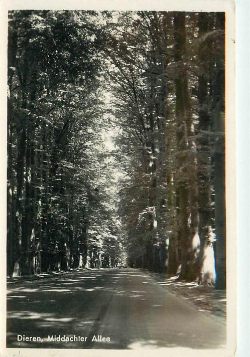 (387-217-029) Dieren Middachter Allee, Verzamelen, Ansichtkaarten | Nederland, Gelderland, Verzenden