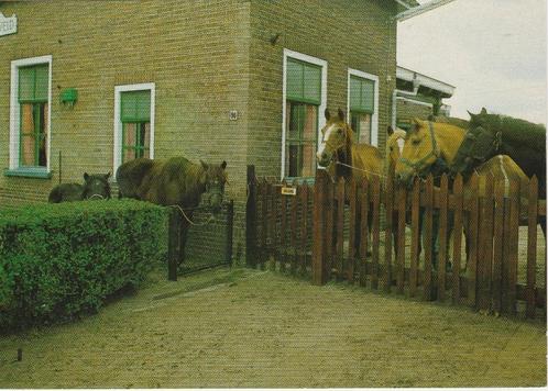 SOEST De Paardenkamp Rusthuis voor Paarden, Verzamelen, Ansichtkaarten | Nederland, Ongelopen, Utrecht, 1980 tot heden, Verzenden