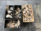 mineralen meeste ruw volgens mij ook versteend hout crystal, Ophalen, Mineraal