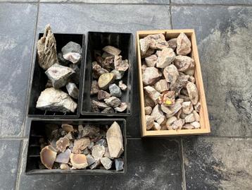 mineralen meeste ruw volgens mij ook versteend hout crystal  beschikbaar voor biedingen