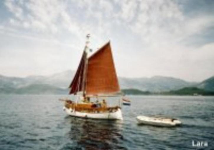 zeilboot mast hout massief, Watersport en Boten, Zeilen en Zeiltoebehoren, Gebruikt, Overige typen, Minder dan 15 m², 6 meter of meer