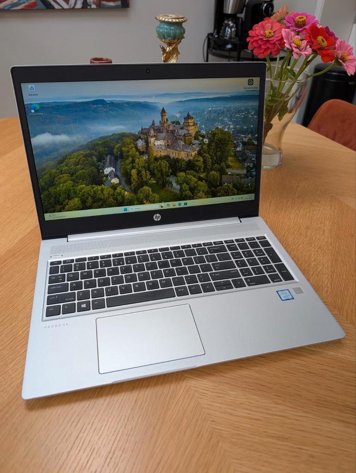 Nette HP Probook i5 8e generatie, 12gb of meer, 256gb ssd!, Computers en Software, Windows Laptops, Refurbished, 15 inch, SSD