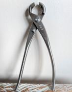 Knobbeltang, Ophalen, ., ., .